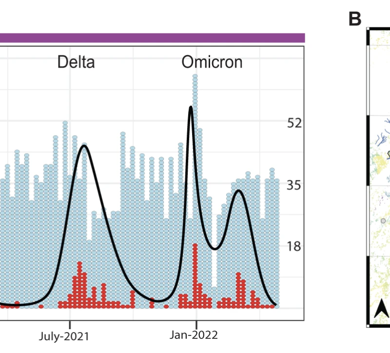 Subfigure from Blantyre surveillance paper